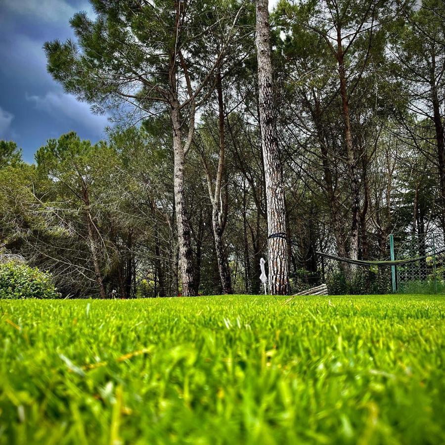Camere Vecchia Fonte Campiglia Marittima Eksteriør bilde