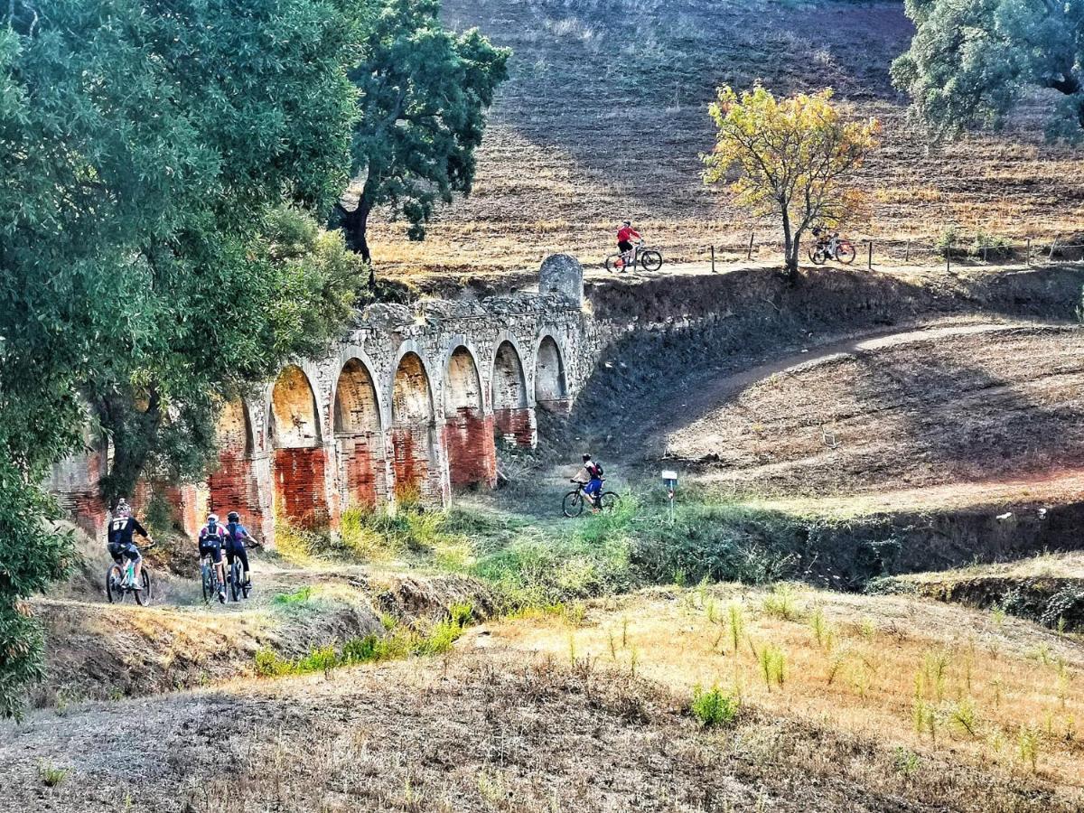 Camere Vecchia Fonte Campiglia Marittima Eksteriør bilde